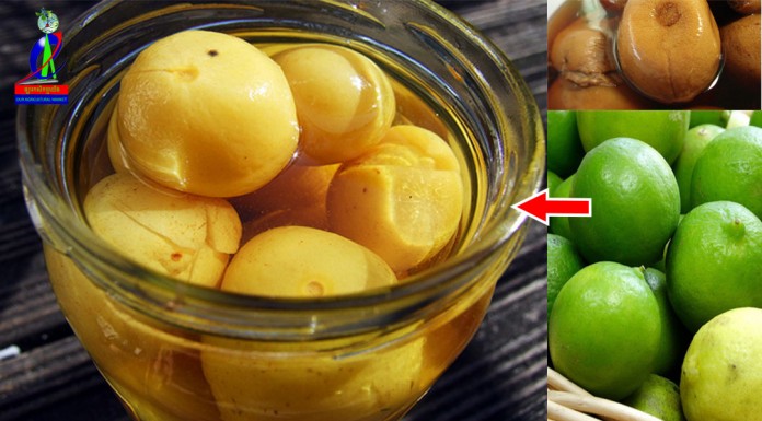 វិធីធ្វើក្រូចងាំង៉ូវ