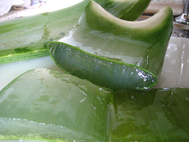 Making_Aloe_Vera_Dessert