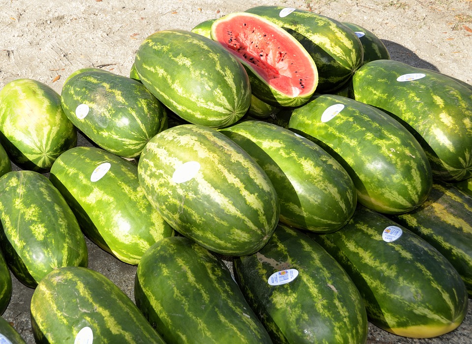 water-melon-1649543_960_720