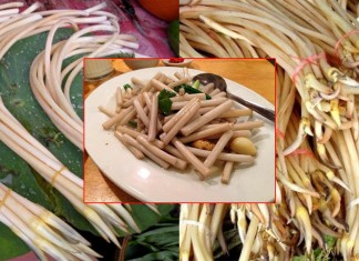 ក្រអៅឈូកមានអត្ថប្រយោជន៍ជួយកម្ចាត់ជាតិពុលនិងការឡើងកំដៅក្នុងរាងកាយ