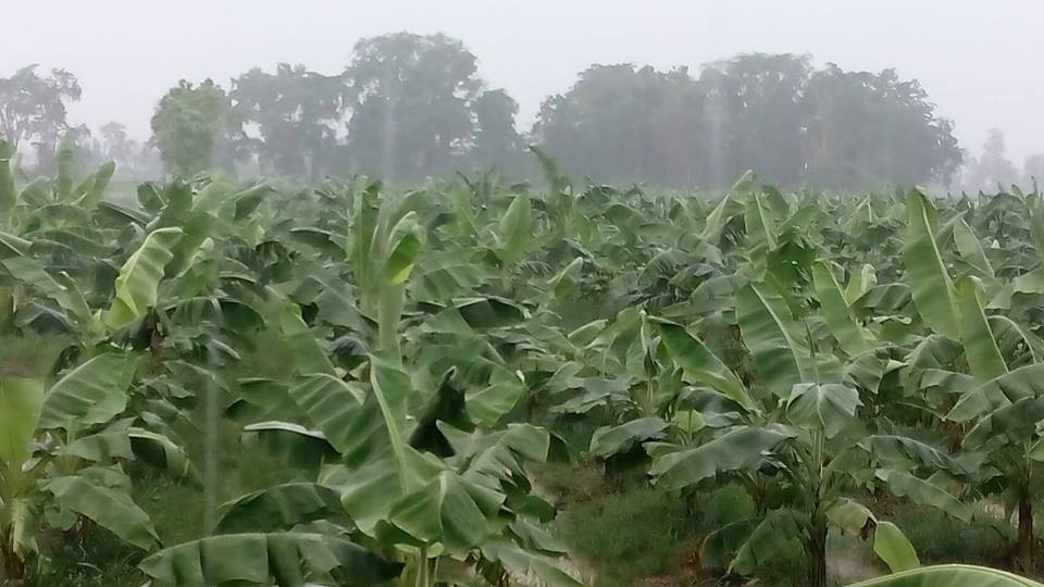 13669765_1040795232664571_5029363194116362189_n