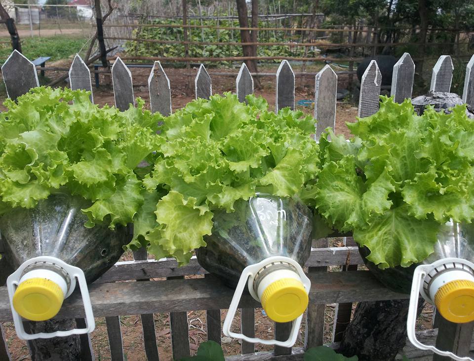 16864758_754684338029807_6036066371888589509_n