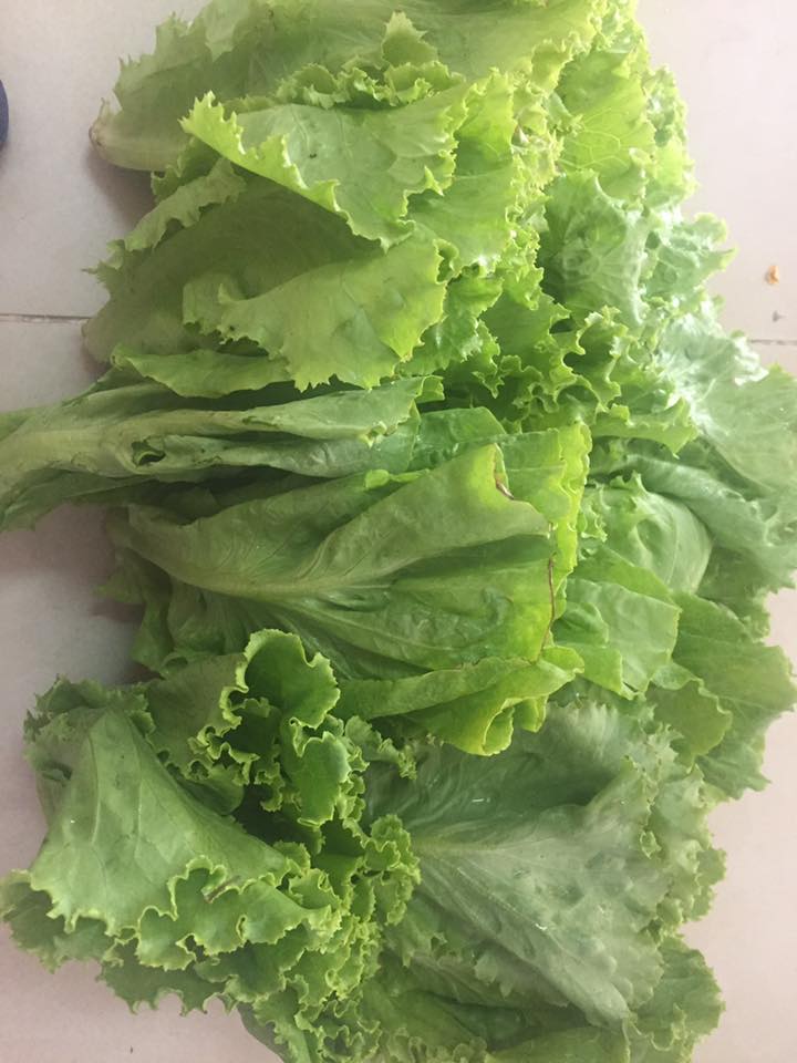 19989395_1381608401960148_3505659154725964865_n