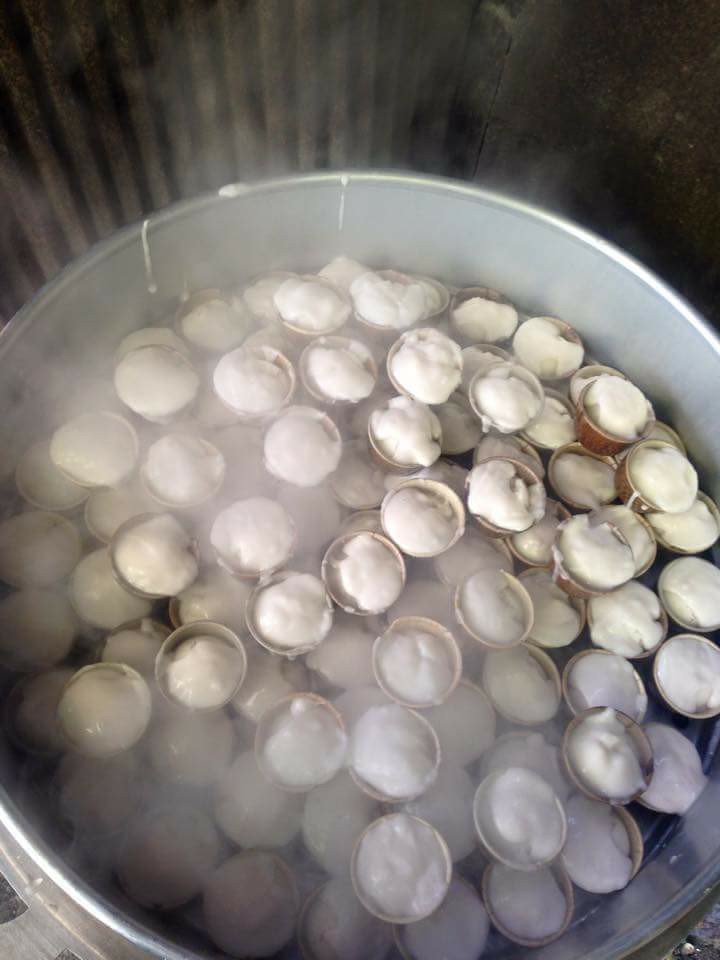 22195611_1441281525967614_4060111410109200924_n