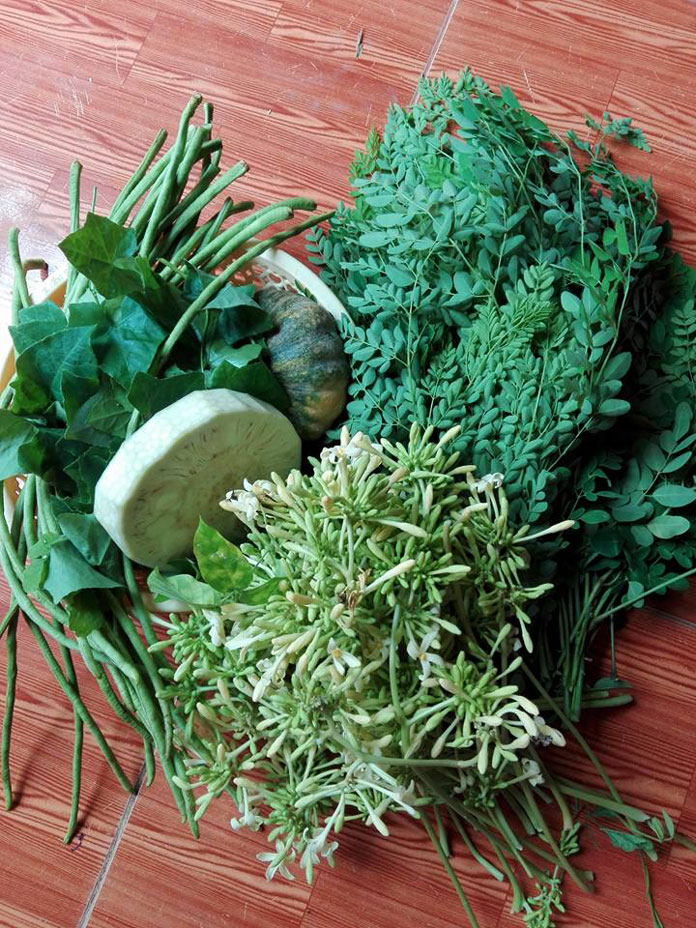 22310691_837884313047976_1723867774979205900_n