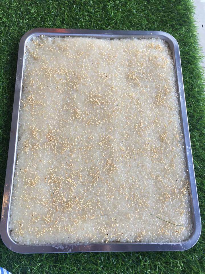 22519085_1455359351226498_7148588503446399440_n