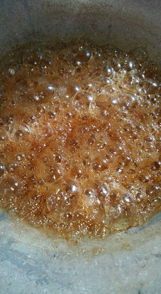 22528022_1455359034559863_9050586995038292009_n