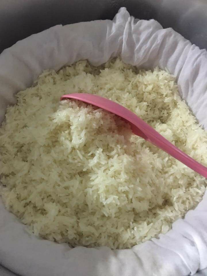 22552497_1455358947893205_96497136948543769_n