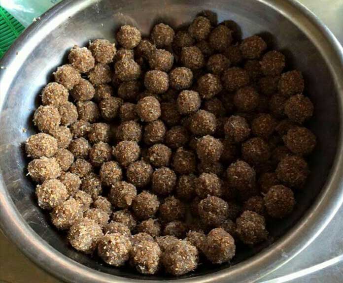 22688057_1456995117729588_8873089553008855677_n