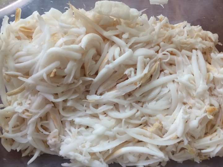 22728770_1455359301226503_3812837030817948482_n