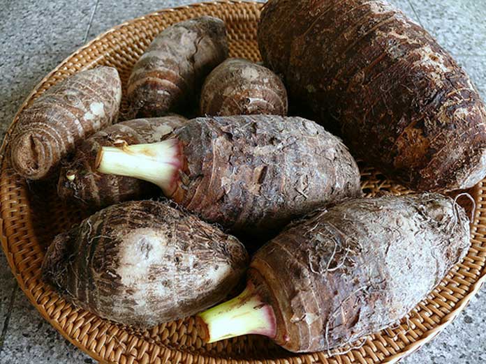 3550324591_a59a30582b