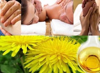 ផលប្រយោជន៍ចំពោះផ្កាសេបរ៉ា! BENEFITS OF DANDELION