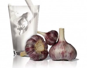 MILK GARLIC1