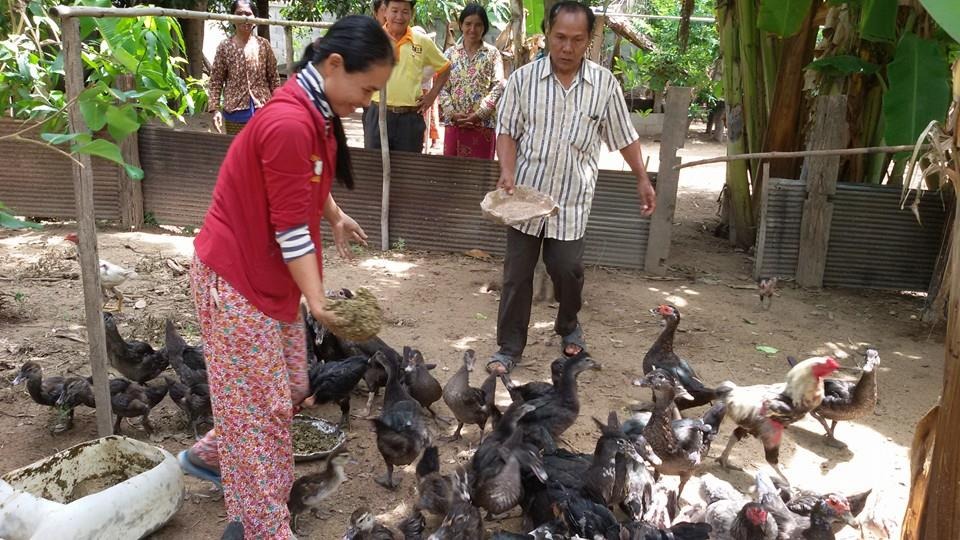 WhatsApp Image 2017-05-06 at 12.14.29