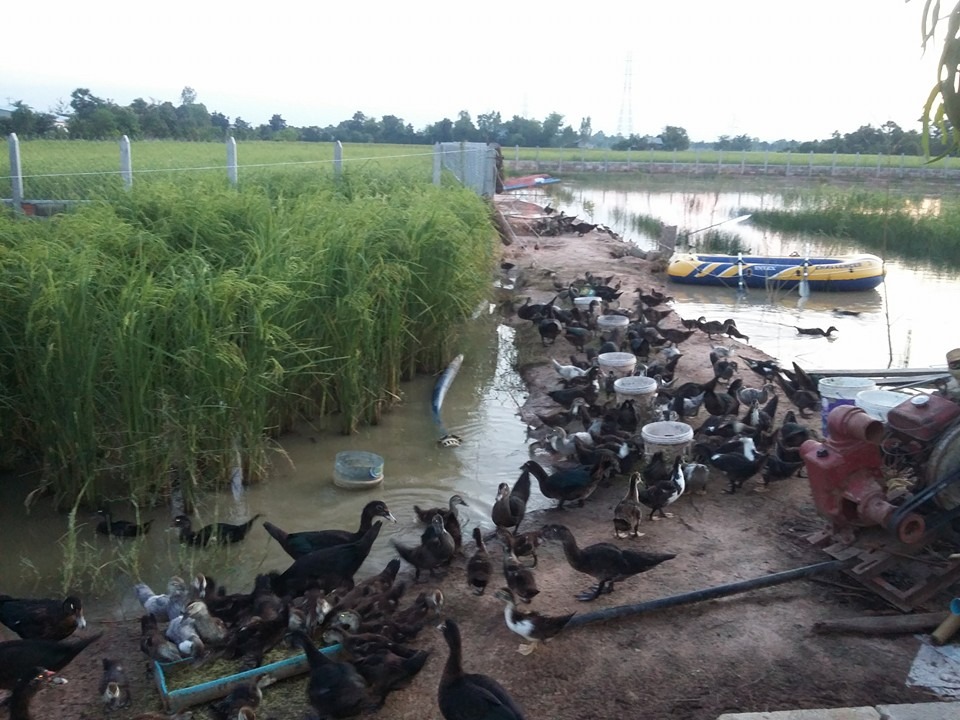 WhatsApp Image 2017-05-06 at 12.14.30