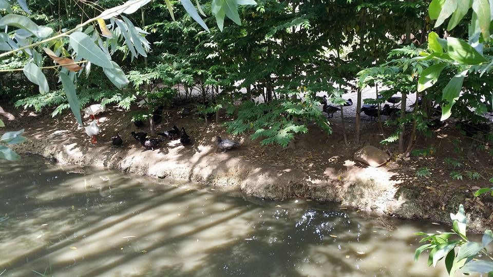 WhatsApp Image 2017-05-06 at 12.14.31