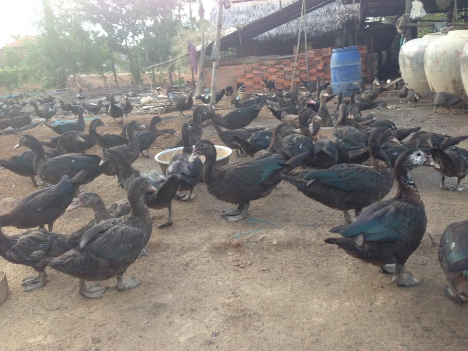 WhatsApp Image 2017-05-06 at 12.14.33