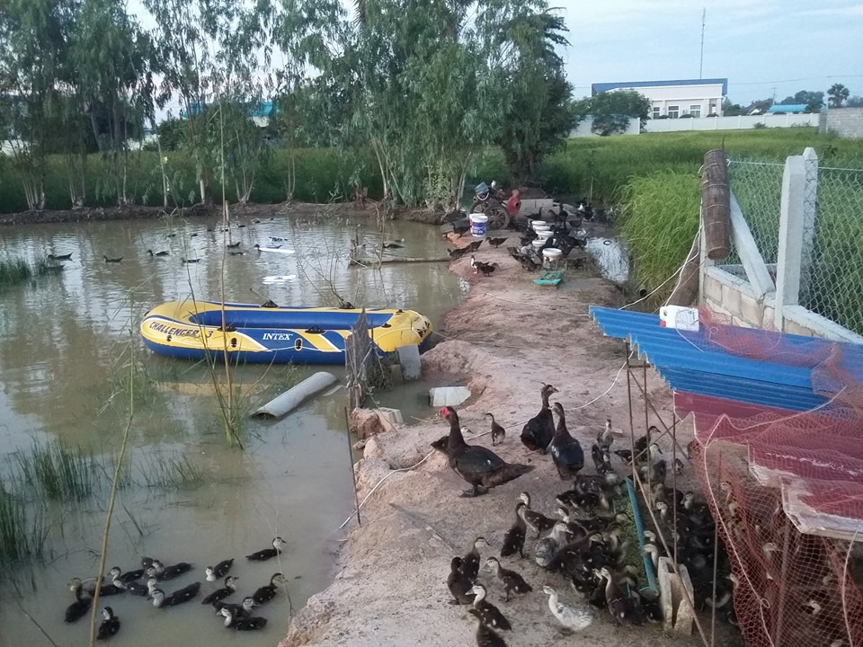 WhatsApp Image 2017-05-06 at 12.14.34