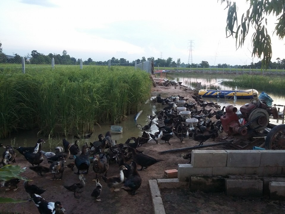 WhatsApp Image 2017-05-06 at 12.14.34(1)