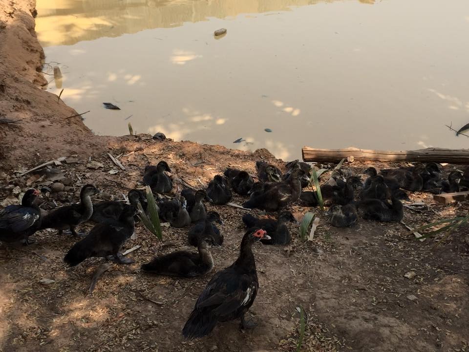 WhatsApp Image 2017-05-06 at 12.14.38