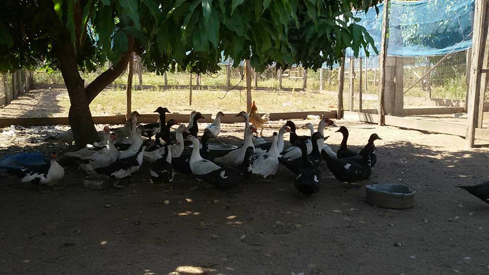 WhatsApp Image 2017-05-06 at 12.14.42