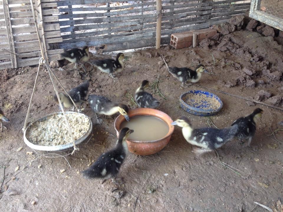 WhatsApp Image 2017-05-06 at 12.14.43