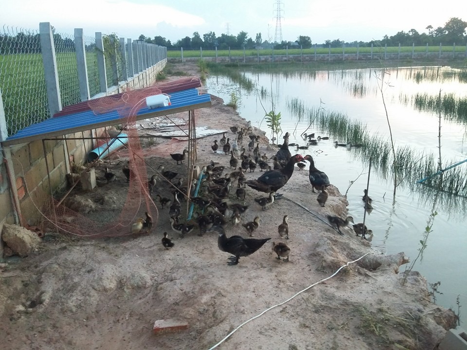 WhatsApp Image 2017-05-06 at 12.14.50