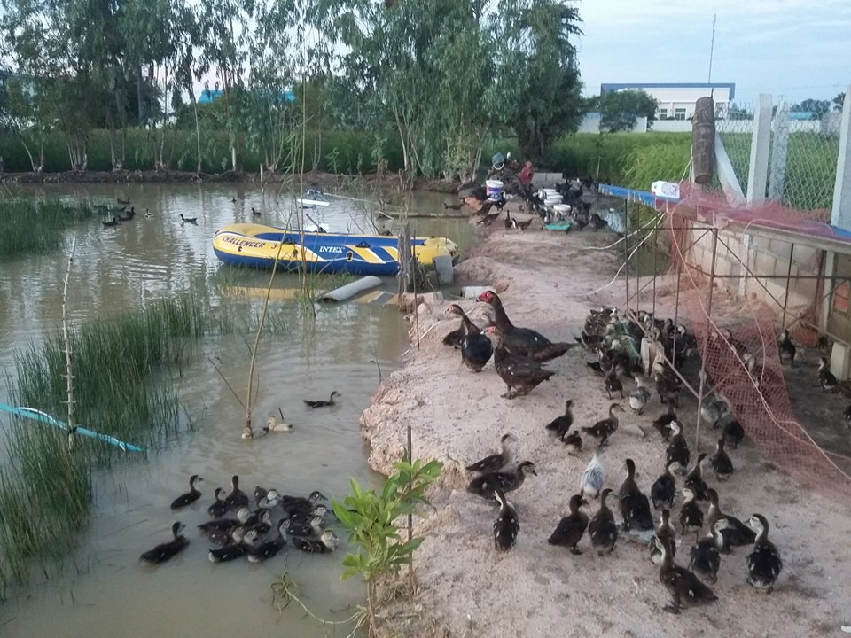 WhatsApp Image 2017-05-06 at 12.14.52