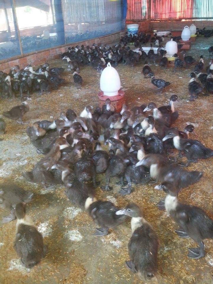 WhatsApp Image 2017-05-06 at 12.14.54