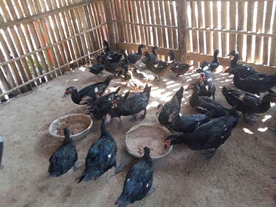 WhatsApp Image 2017-05-06 at 12.14.57