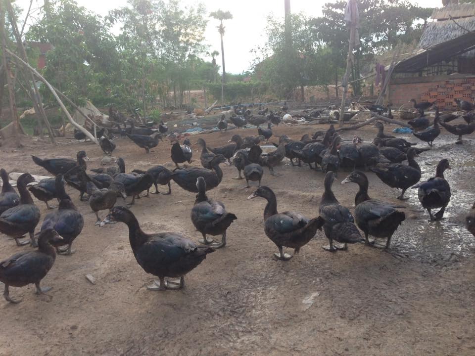 WhatsApp Image 2017-05-06 at 12.15.10