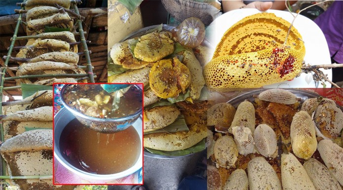 បច្ចេកទេសចិញ្ចឹមឃ្មុំព្រៃធម្មជាតិ