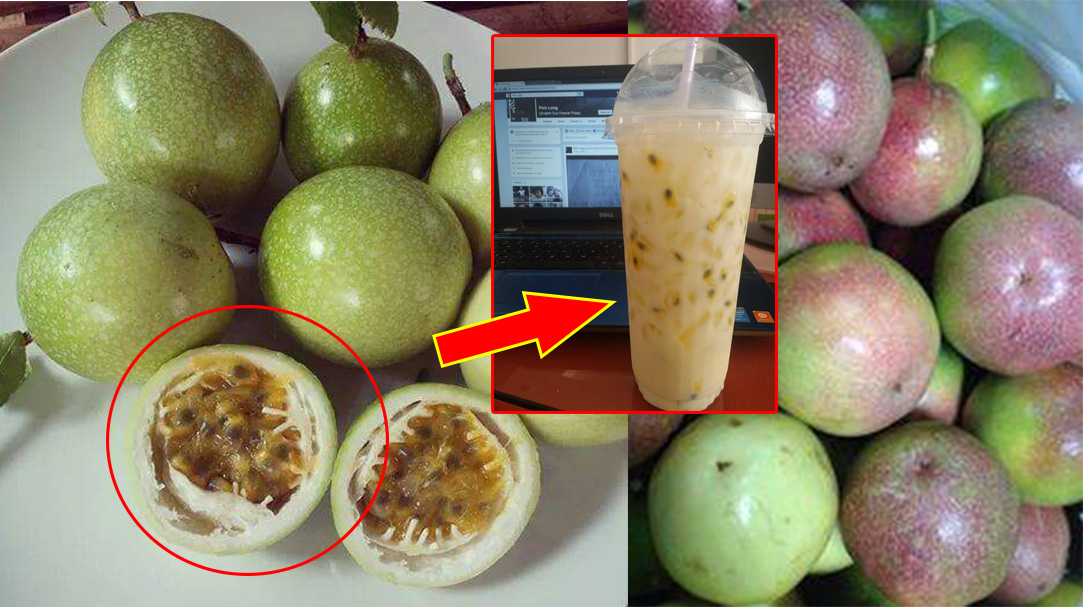 ផាស្យុង