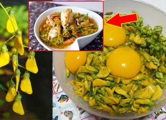 អត្ថប្រយោជន៍របស់ផ្កាស្នោដែលបងប្អូនគួរតែដឹង