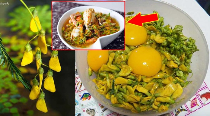 អត្ថប្រយោជន៍របស់ផ្កាស្នោដែលបងប្អូនគួរតែដឹង