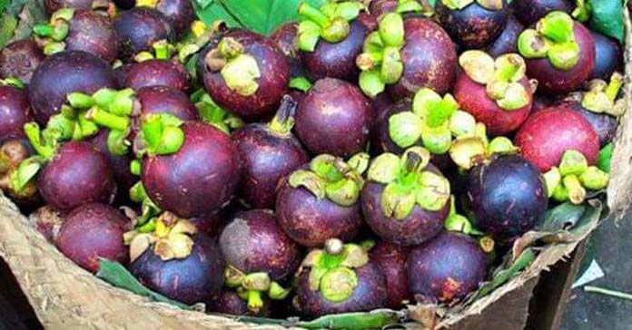 13230150_977272665701838_3030493109156654828_n