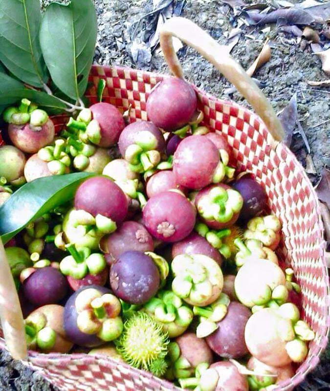 13237823_977272822368489_697343090352021208_n