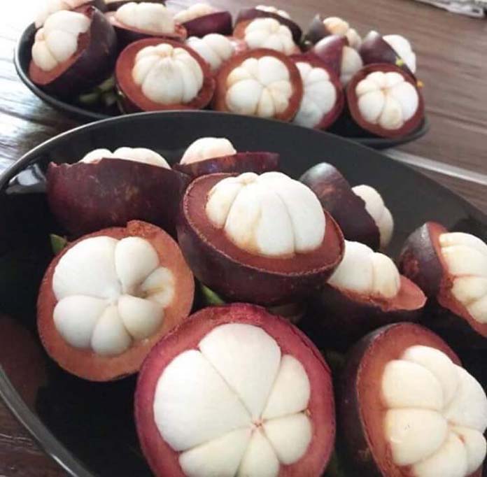 13240080_977273165701788_8560612353833147563_n