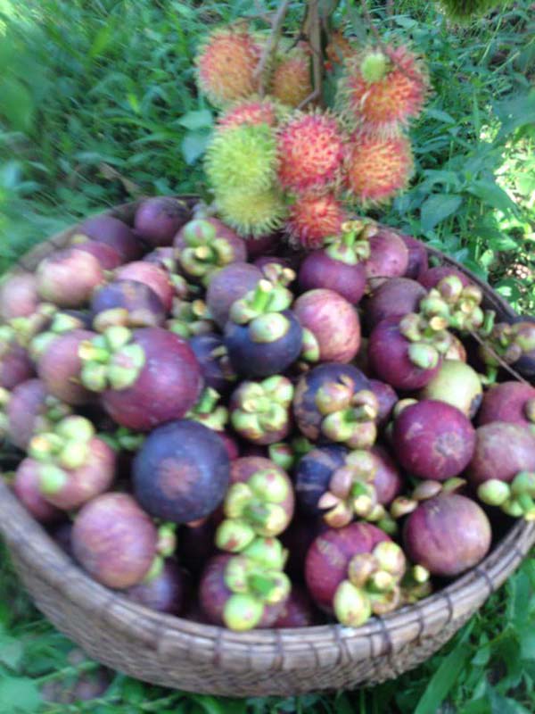 13254458_977272722368499_1782897775369741384_n