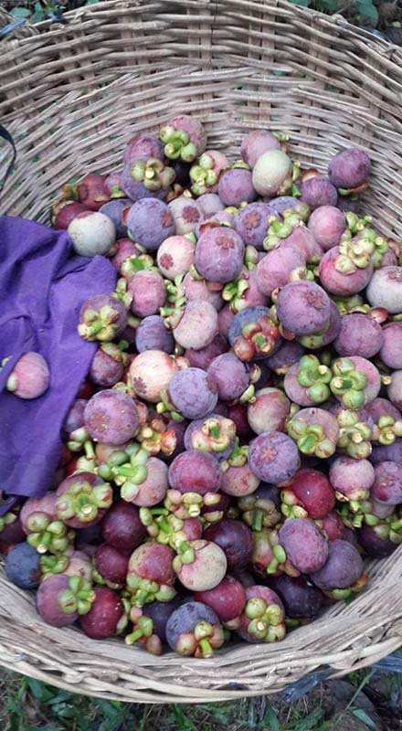 13259990_977272769035161_402649124214745011_n