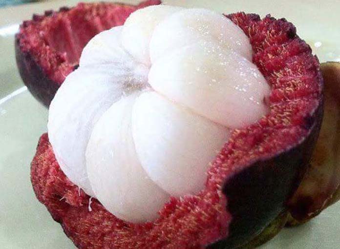 13263923_977272989035139_1503715278110049972_n