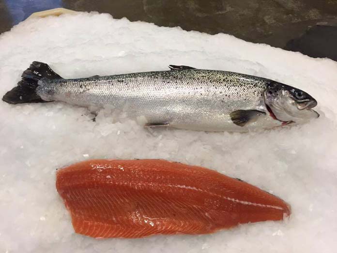 18119134_771934762974203_9072479920071982720_n