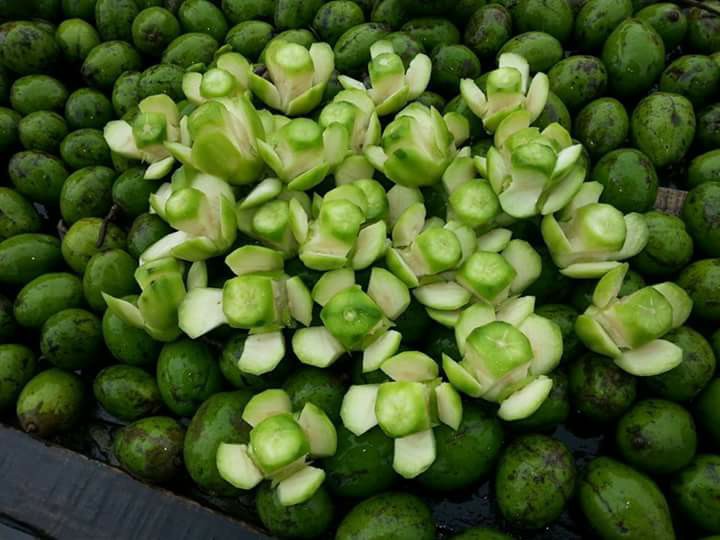 21765056_1433506873411746_570870863729557203_n