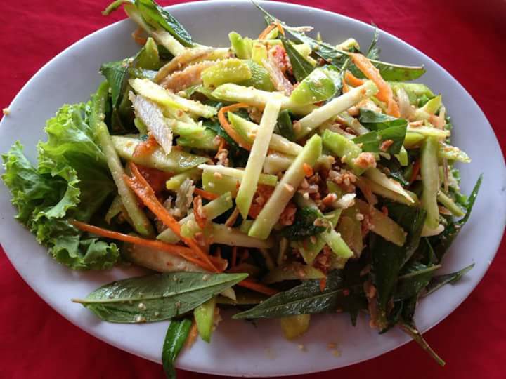 22046541_1433507020078398_6512153047342999563_n