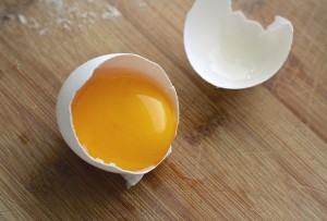 EGG YOLK2