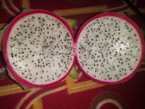 DRAGONFRUIT3