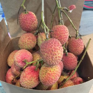 LYCHEE FRUIT4