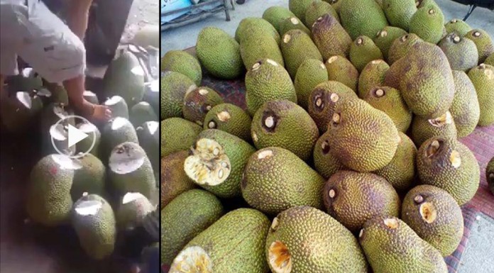 (Video)មិនរស់ទេ!បើផ្លែឈើគេចាក់ថ្នាំចូលបែបនេះ