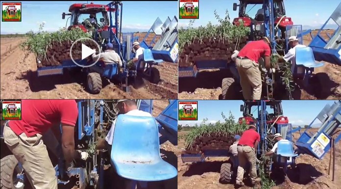 (Video)ម៉ាស៊ីនដាំដំណាំមួយនេះពិតជាប្លែកមែន