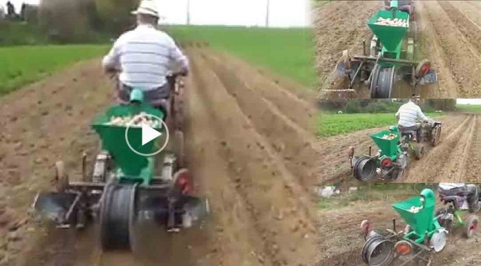 (Video)លោកតាពូកែណាស់ដែលអាចច្នៃម៉ាស៊ីនដាំដំឡូងបារាំងបានយ៉ាងល្អ!